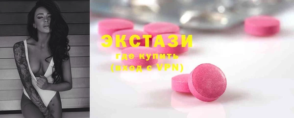 гидра Рославль